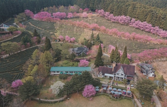 桃竹苗景點