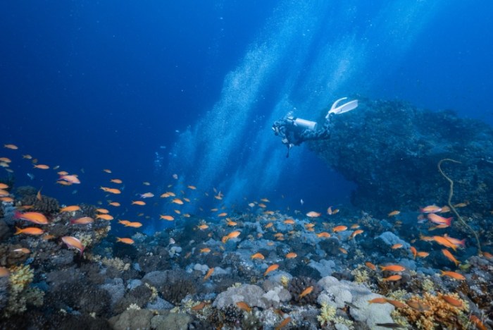 綠島潛水行程 綠島潛水行程