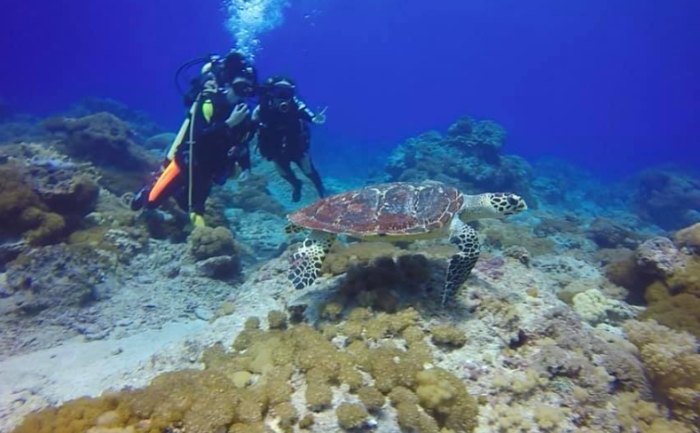 綠島潛水推薦 綠島潛水推薦