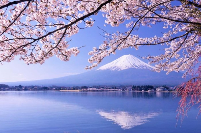 富士山攻略 富士山攻略