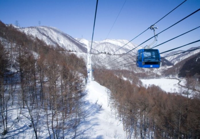 苗場滑雪場地圖 苗場滑雪場地圖