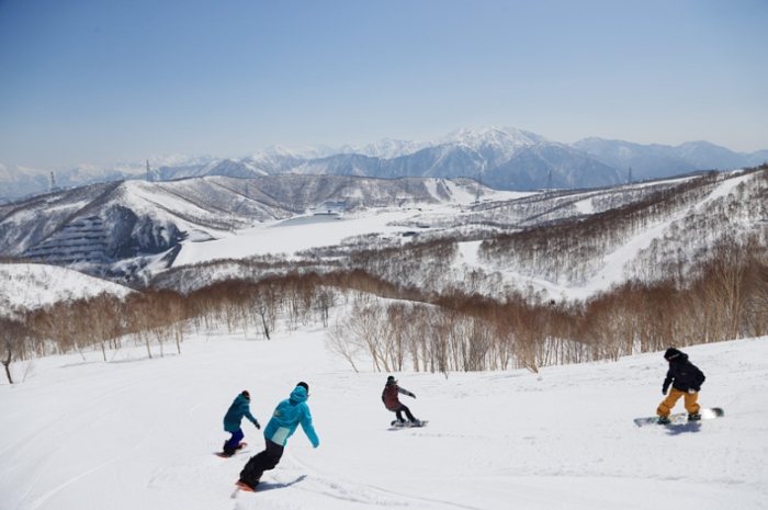 苗場滑雪場交通 苗場滑雪場交通