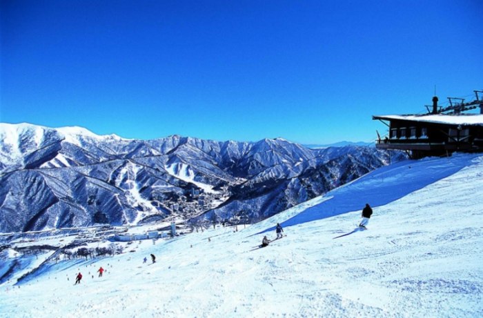 苗場滑雪場交通 苗場滑雪場交通