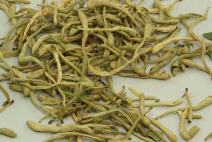 金銀花功效皮膚